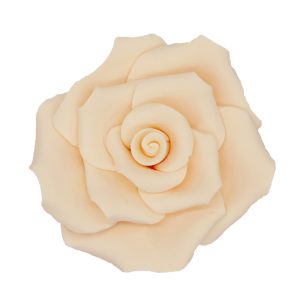 ROSA AÇÚCAR MARFIM Ø 70 MM