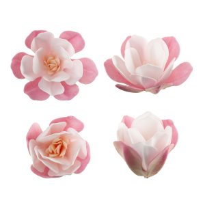CAIXA DE 6 MAGNÓLIAS WAFER ROSA 6.5-7CM